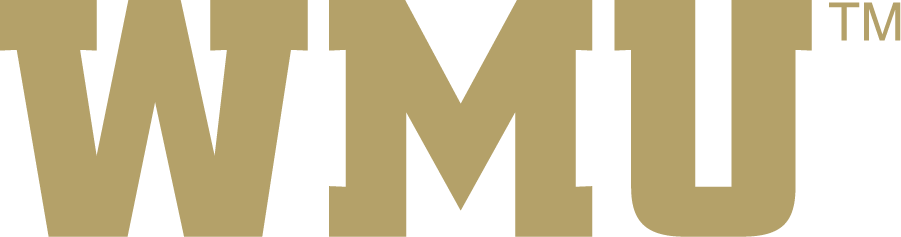 Western Michigan Broncos 2016-2021 Wordmark Logo DIY iron on transfer (heat transfer)